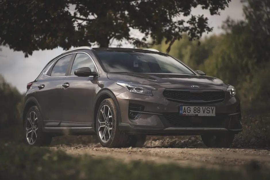 A stylish Kia SUV parked on a rural road under a tree with a tranquil backdrop.